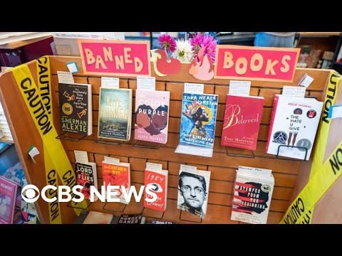 Record number of attempted book bans in 2022, American Library Association says