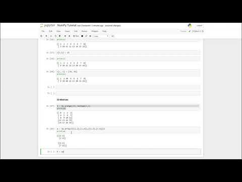 3D Matrices | Python Numpy 6.0