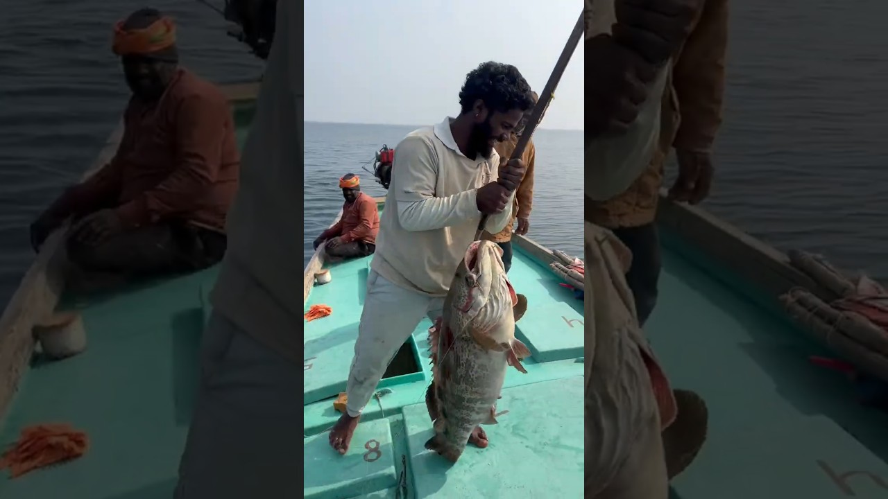 #fish #Fisherman #🌊🌫️ #beachfishing #fishing #fishingmethods #fishingtechniques #fishing
