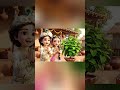 🙏 जय श्री कृष्ण | जय राधे | जय माँ तुलसी 🙏🔥  #TulsiDivas#TulsiPooja#RadhaKrishna#RadheKrishnaBhajan