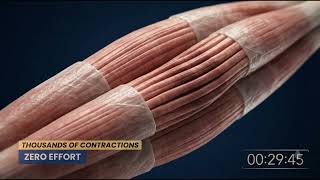 How EMS Body Sculpting Works Muscle Toning Body Contouring in Mesa Glendale AZ