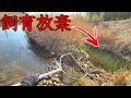 川のほとりの水溜りで捨てられた巨大生物が密かに生き延びていた…