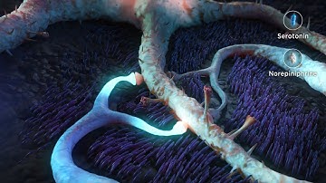 Understanding How Dopamine Affects Movement – and How It’s Treated