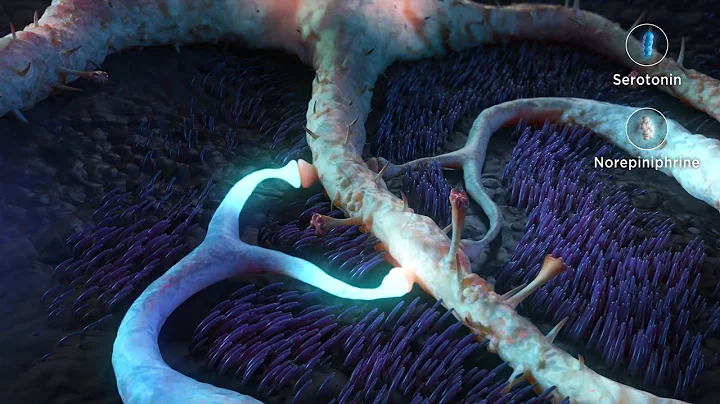 Understanding How Dopamine Affects Movement – and How It’s Treated