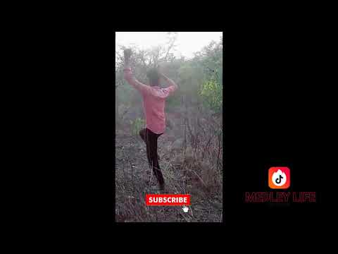 Imran Tahir Weicket Celebration Funny Tik Tok Challange