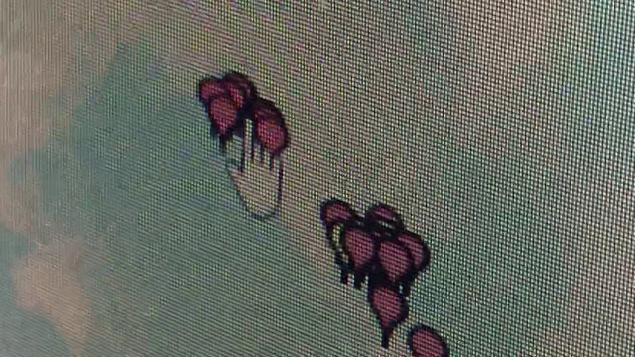 How to find your SAME codes for your NOAA Weather Radio!