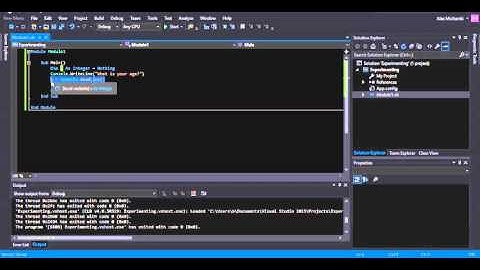 7 - Visual Basic: User Input