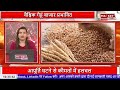 अर्जेंटीना में गेहूं उत्पादन में बड़ी गिरावट ? USDA ने जारी किया अनुमान ! #wheat #gehun #wheatprices