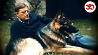 Jean-Pierre Hutin : 30 ans après, l’héritage du fondateur de 30 Millions d’Amis