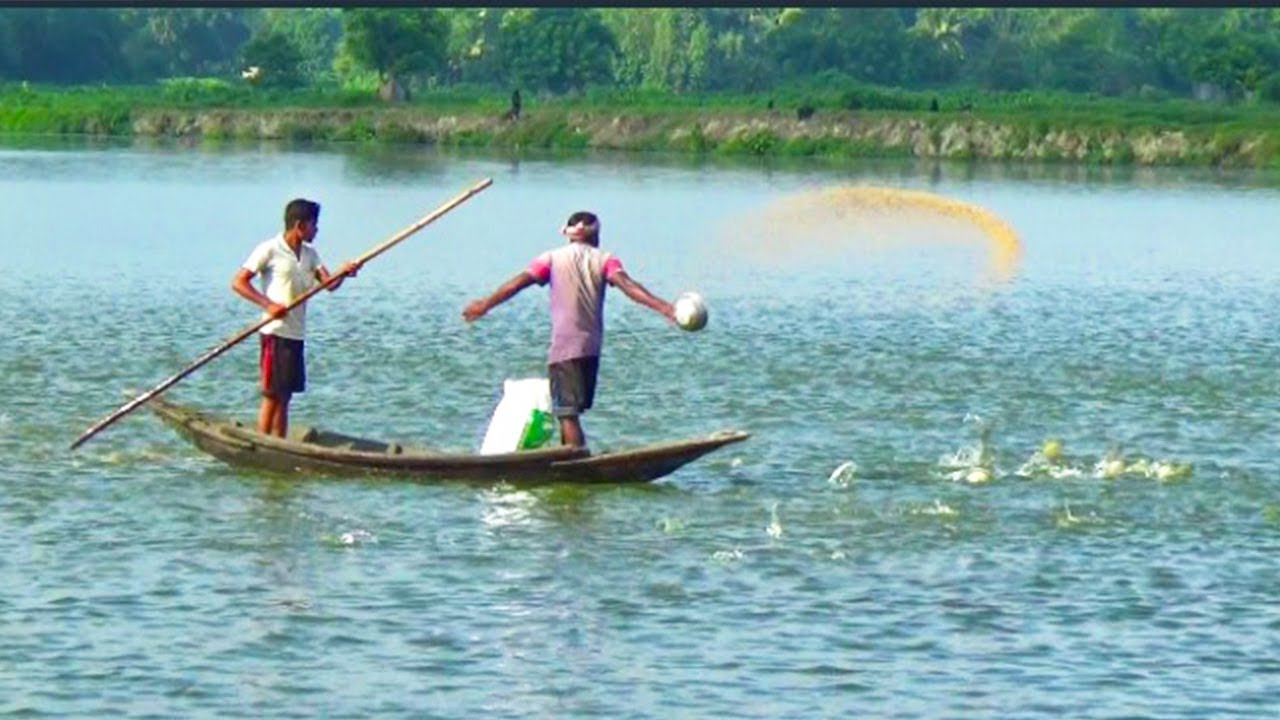 Unbelievable Village Traditional Fish Catching With Beautiful Nature