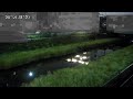【野川】馬橋映像監視局［調布市国領2］