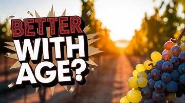 Does Wine REALLY Get Better With Age? (The Truth May Surprise You)