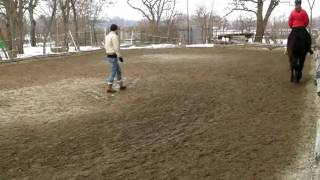 Centered Riding Lesson 30/1/2011 (shortcuts)