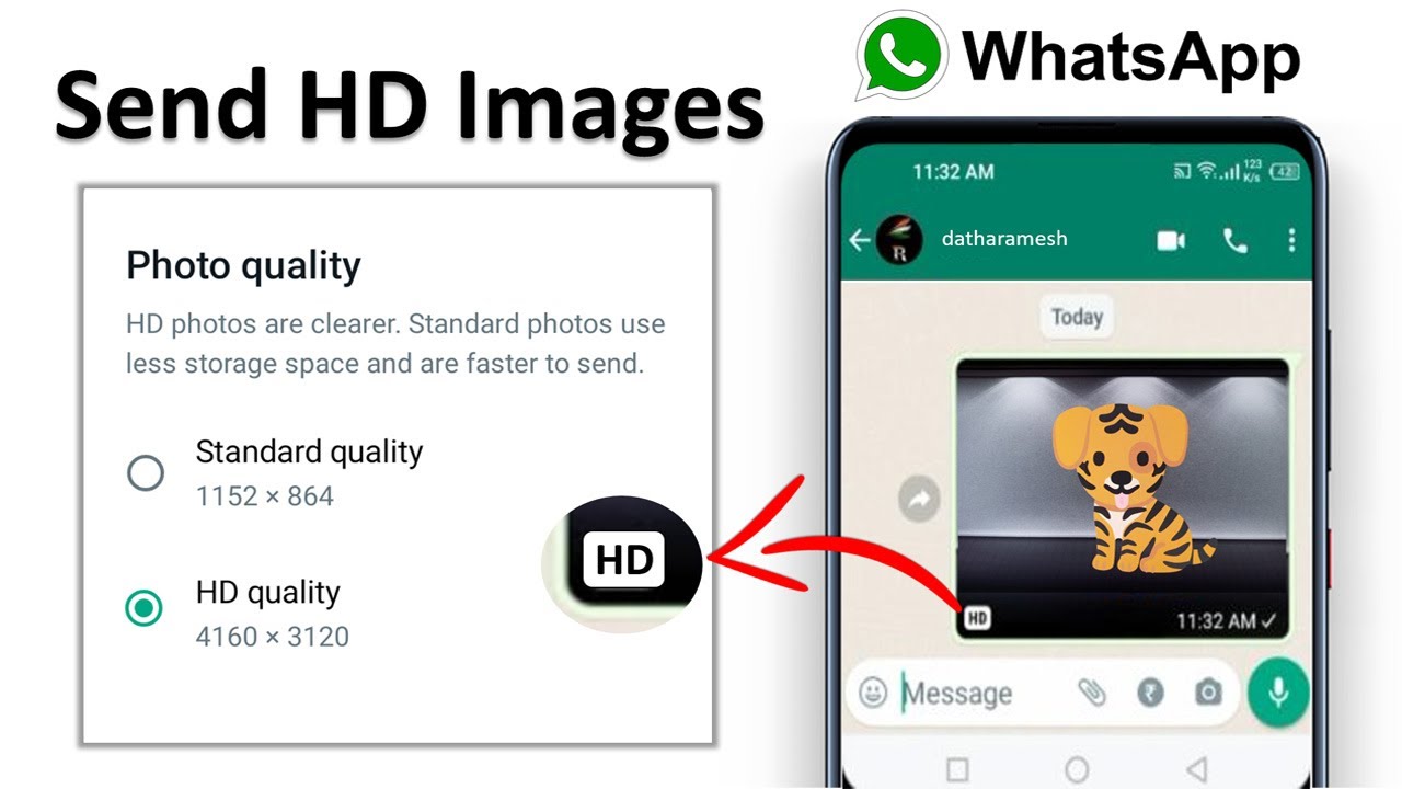 How to Send High Quality Images On WhatsApp - YouTube