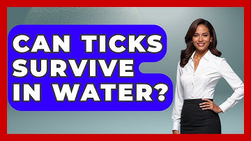 Can Ticks Survive In Water? - Chasing Big Fish