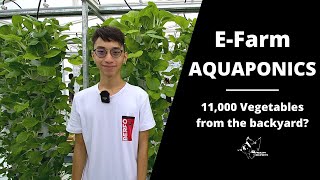 E Farm Aquaponics Malaysia 11 000 Vegetables From The Backyard In Cheras Kl Youtube
