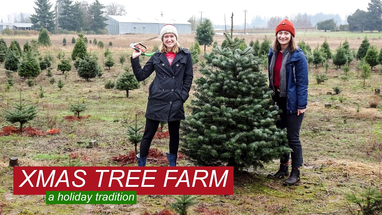 GOING TO A CHRISTMAS TREE FARM - YouTube