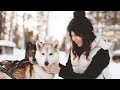 Northern Lights, Reindeer & Huskies in Lapland | WishWishWish