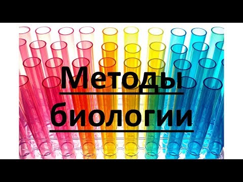 Методы биологических исследований