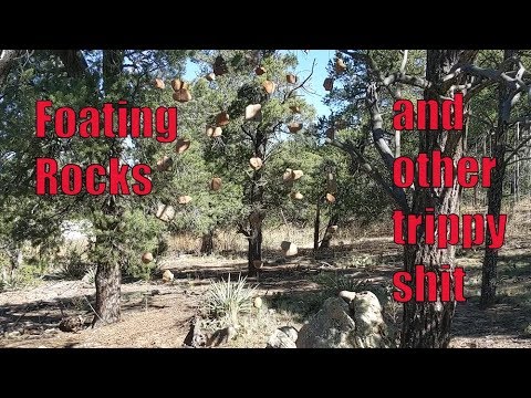 wolf of wall street Trippy shit you find in the woods