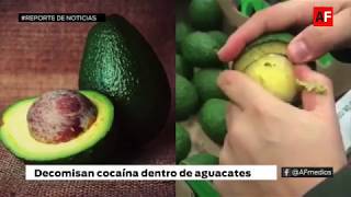 Decomisan cocaína dentro de aguacates -REPORTE DE NOTICIAS DE AFMEDIOS.COM -