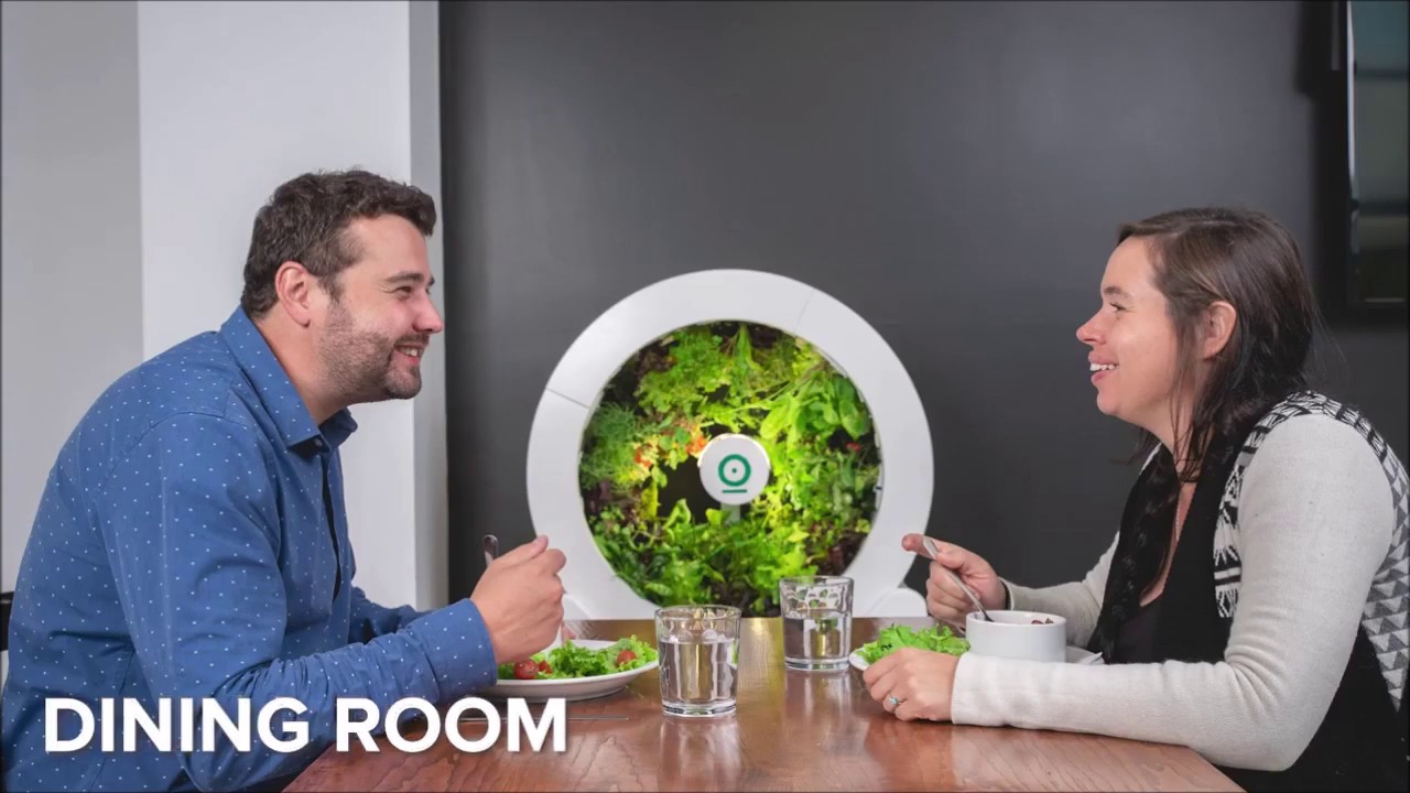 BEST HOME GARDENING SOLUTIONS - GROW YOUR OWN VEGGIES & HERBS!