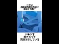 【ブルアカ】嘘みたいで嘘な生徒の雑学 #ブルアカ #トキはパ●ツを脱ぐ#ブルーアーカイブ