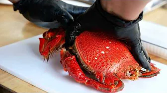 GIANT ALIEN FROG CRAB Vietnamese Street Food