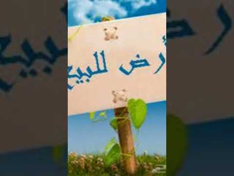 قطعتين أراضي مميزة للبيع في جمعية أحمد عرابي