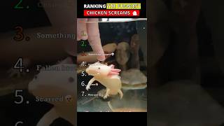 Ranking Fails That Deserved the Chicken Scream🐔😭