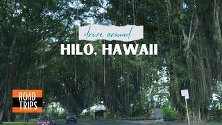 Drive around Hilo Downtown•  Big Island, Hawaii • GoPro Drive 4K