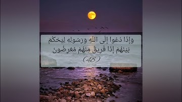 القرآن الكريم سورة النور صفحة 356