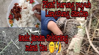 🔴Pikat burung puyuh part 2_Anak jaman sekarang mana tau🤭🤣