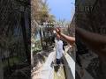 衝撃の水遊び 4選 一番ドキドキしたのは?