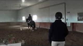Connie's Lessons with Abby