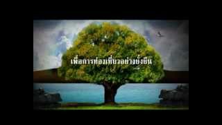 Showreel 2012.avi