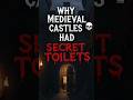 Why Castles Had Secret Toilets 🏰💩 #Shorts