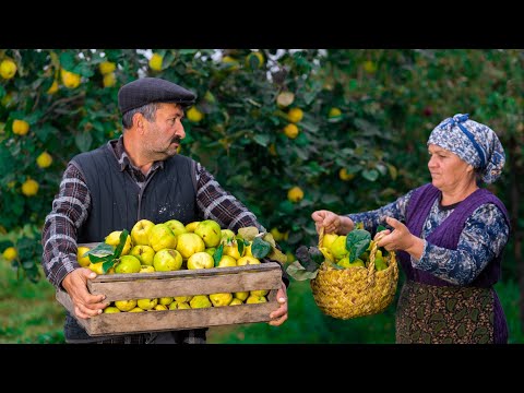 Video: Kada svarainių sezonas?