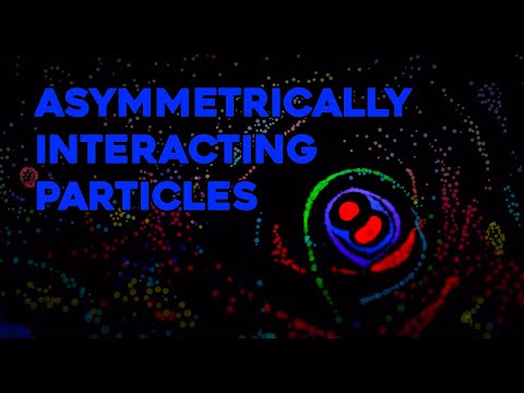 Asymmetrically interacting particles - Visual processing