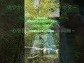 Natural Sonic「竹林の風と爽やかアコースティックギター」コンピレーション - 心を整えるナチュラルBGM -