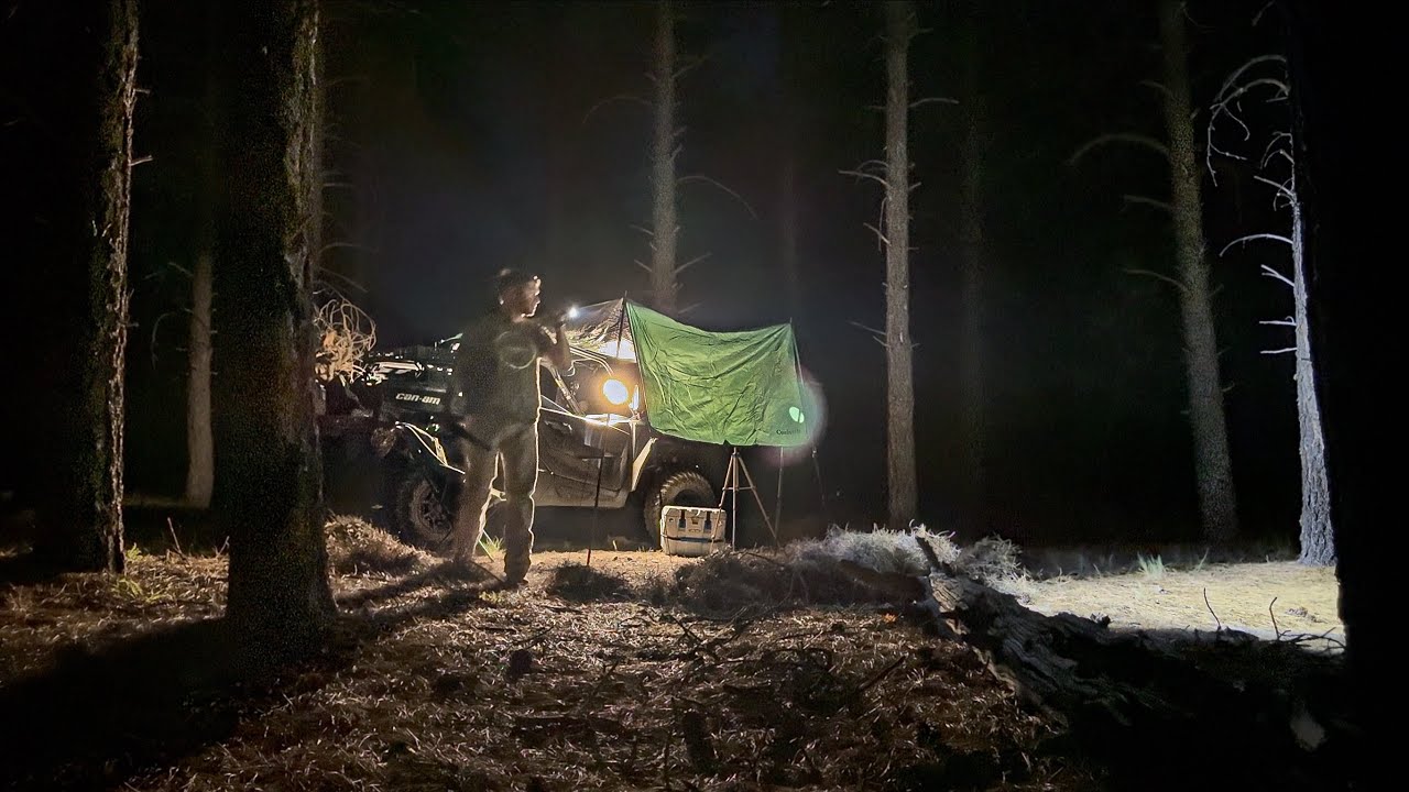 Algo Estaba En La Oscuridad!