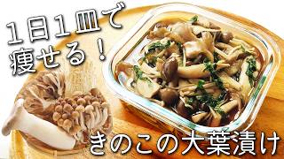 【きのこ 大葉 漬け】きのこは全部コレにして！体調がすこぶる良くなる きのこの大葉漬け 栄養が13倍になる！ きのこの保存方法も紹介 無限きのこ 作り置き 大量消費