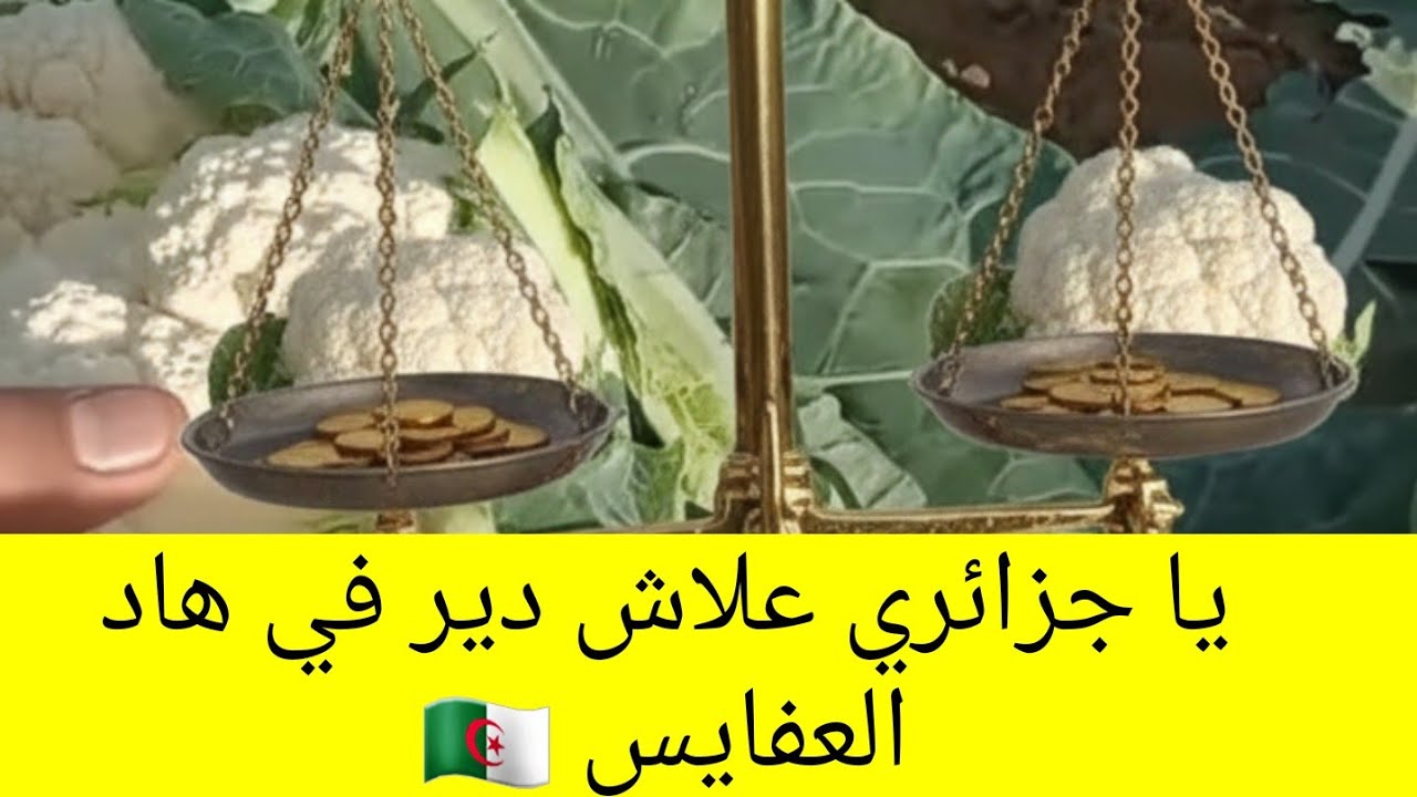 من أسباب عدم نزول الغيث في الجزائر 🇩🇿 لازمكم تكملوا الفيديو للآخر حتى تاخذوا عبرة 