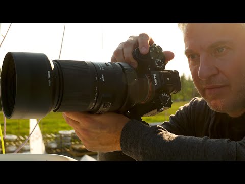 TAMRON 150-500mm Hands-on REVIEW: Affordable Sony Bird & Sports Photography Lens