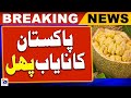 National mango and fruit festival held in Mirpurkhas | Jackfruit | Geo News