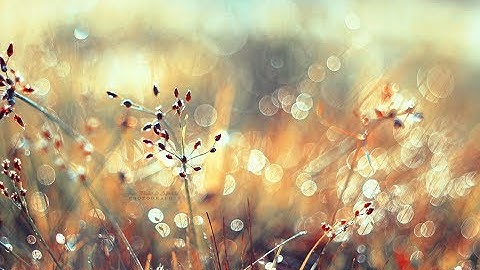 ‫سورة المؤمنون كاملة |  أحمد النفيس  من روائع رمضان ١٤٣٨‬