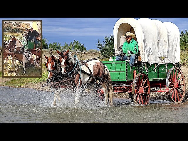 🐎 Rookie Horses TAKE OFF with Covered Wagon! 😱 | Old West Horse u0026 Covered Wagon on MT Wagon Train class=