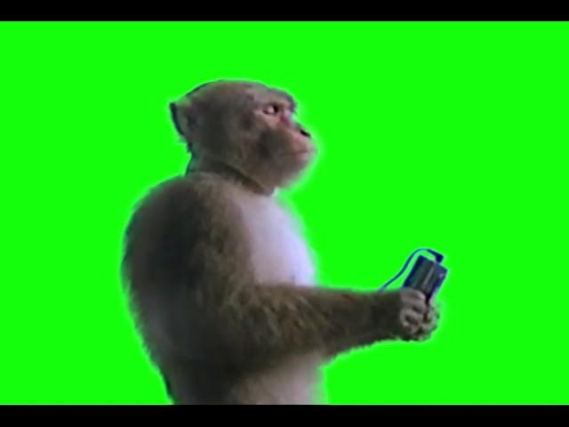 Monkey Side Eye with FNAF 2 ambience meme (Green Screen) – CreatorSet