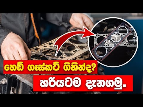 හෙඩ් ගෑස්කට් ගිහින්ද ? හරියටම දැනගමු