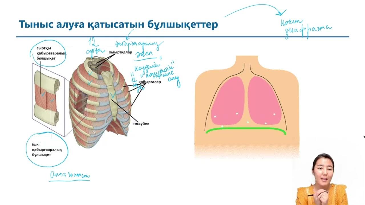 Жалаңаш жазушының суреті